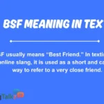 BSF Meaning in Text