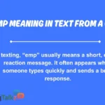 emp meaning in text from a girl