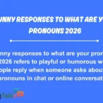 Funny Responses to What Are Your Pronouns 2026