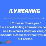 ily meaning