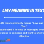 lmy meaning in text