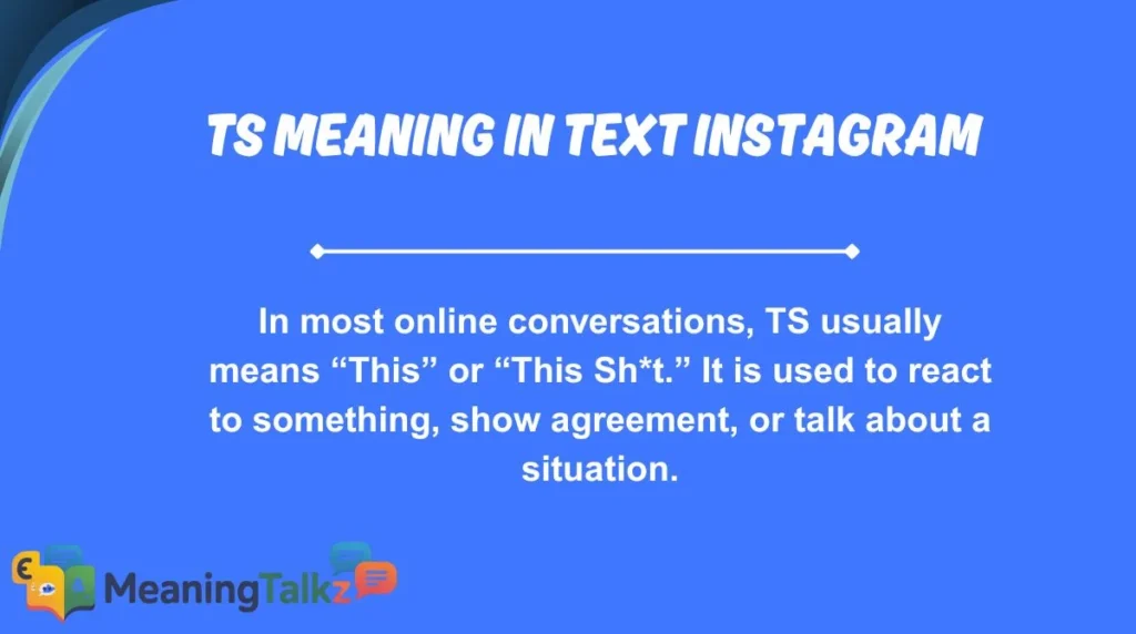 ts meaning in text instagram