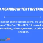 ts meaning in text instagram