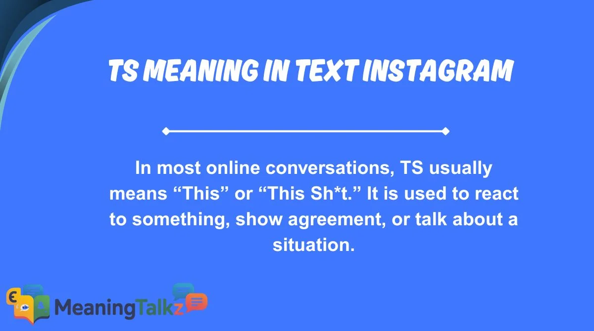ts meaning in text instagram
