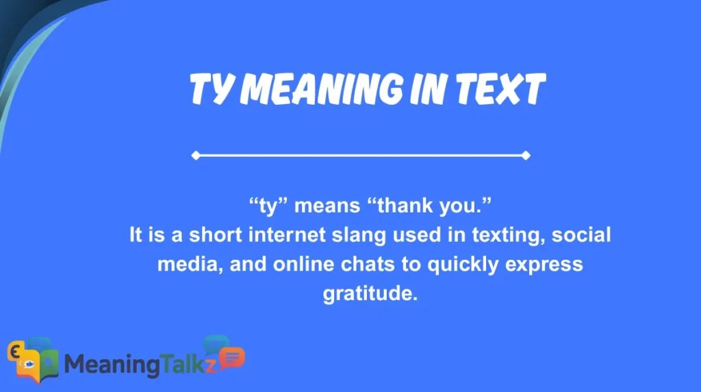 ty meaning in text