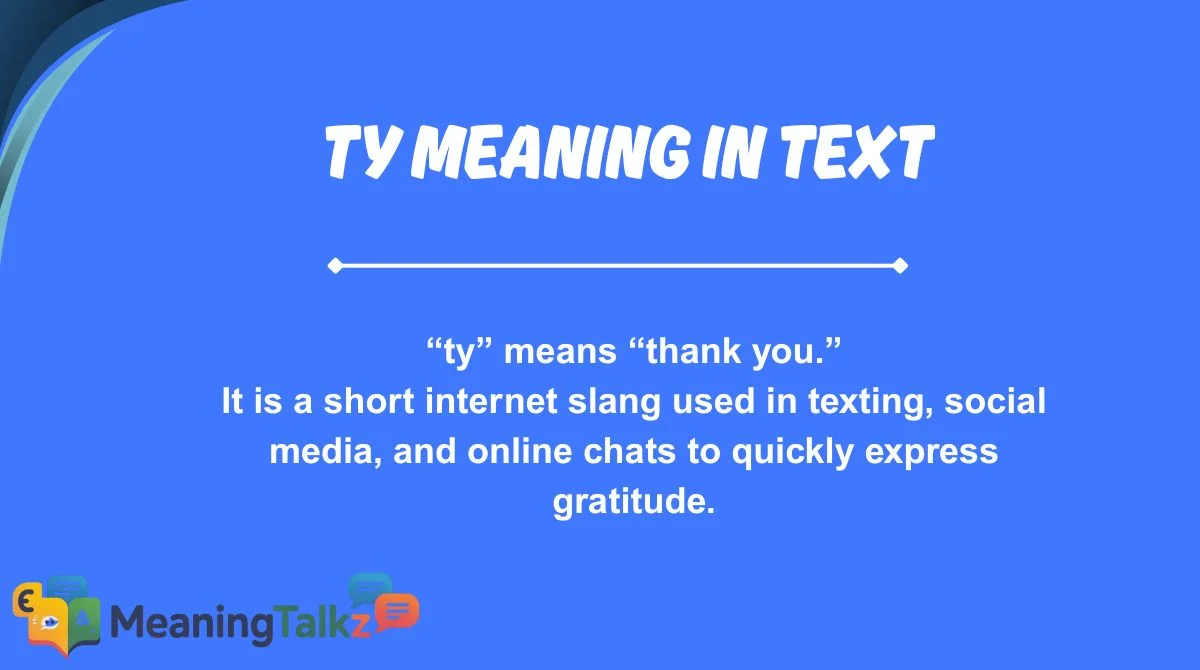 ty meaning in text