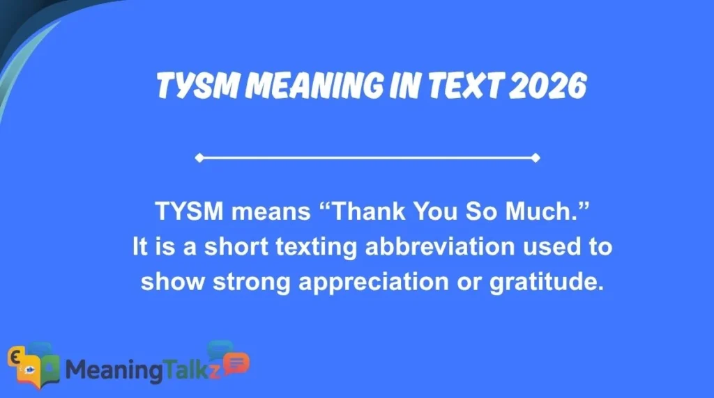 tysm meaning in text 2026