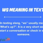 ws meaning in text