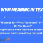 wym meaning in text