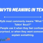 wytb meaning in text