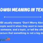 dwbi meaning in text
