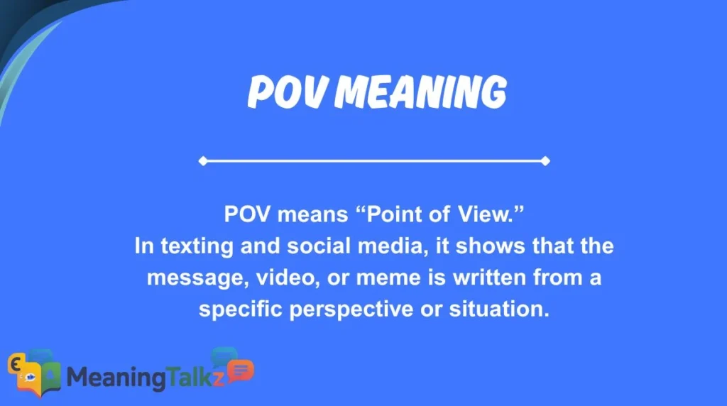 pov meaning