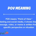 pov meaning