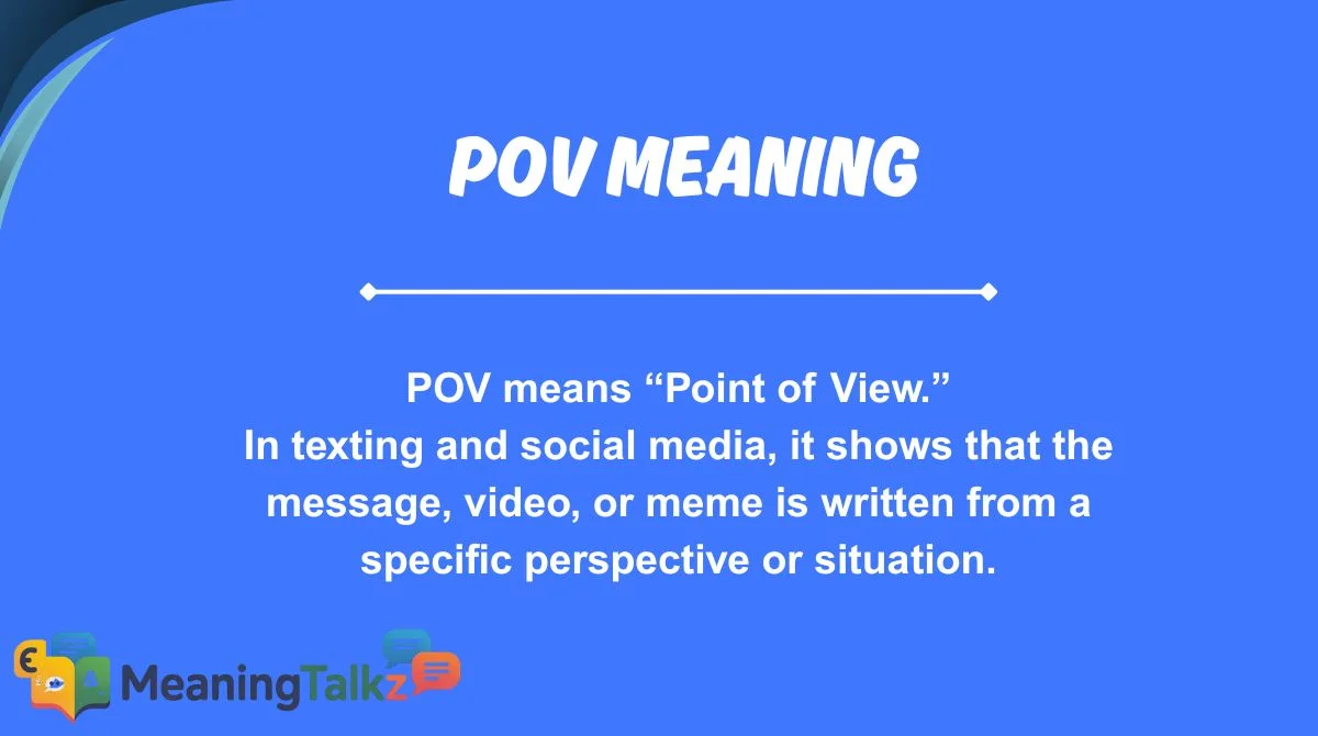 pov meaning