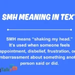 smh meaning in text