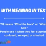 wth meaning in text