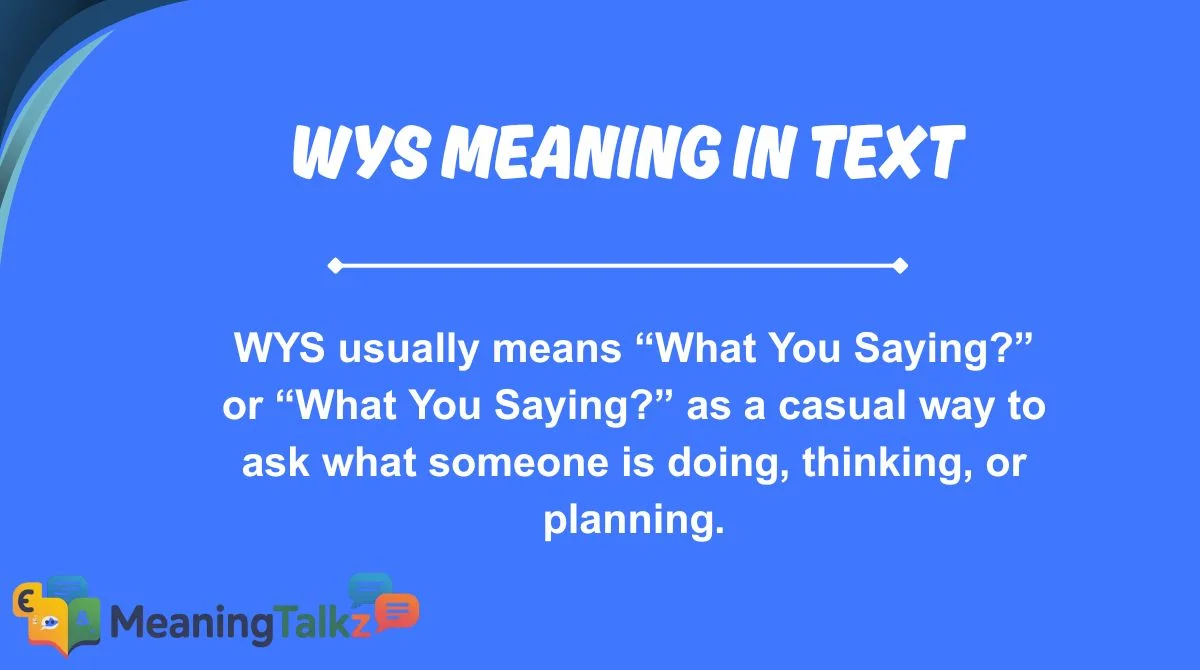 wys meaning in text