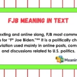 fjb meaning in text