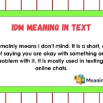 IDM Meaning in Text
