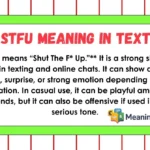STFU meaning in text