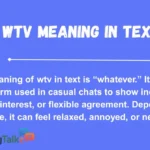 wtv meaning in text
