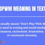 dpwm meaning in text