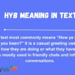 HYB Meaning in Text