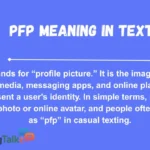 PFP Meaning in Text