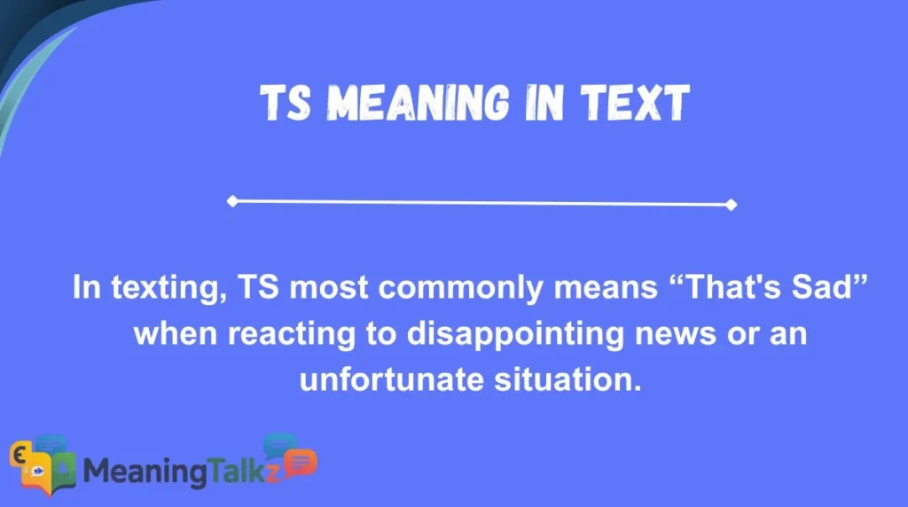 TS Meaning in Text