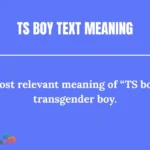 TS Boy Text Meaning