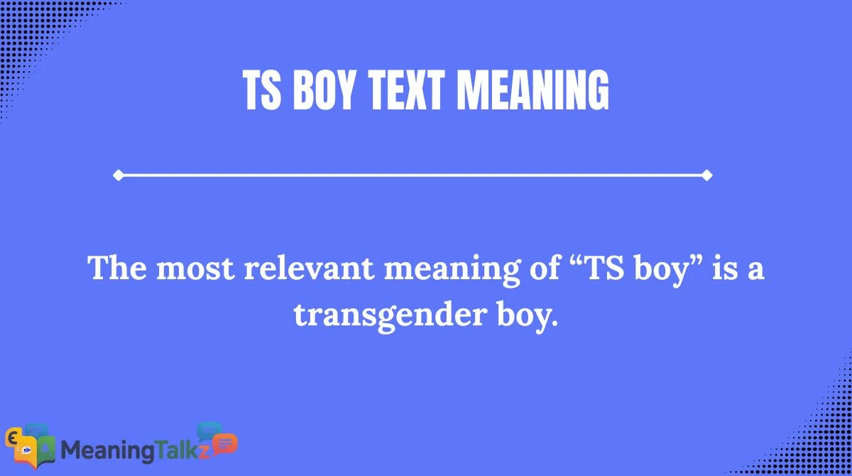 TS Boy Text Meaning